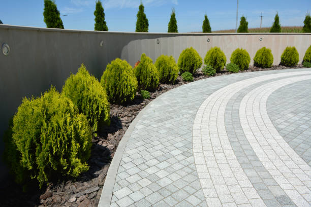 Best Decorative Driveway Pavers  in Mitchell, IL